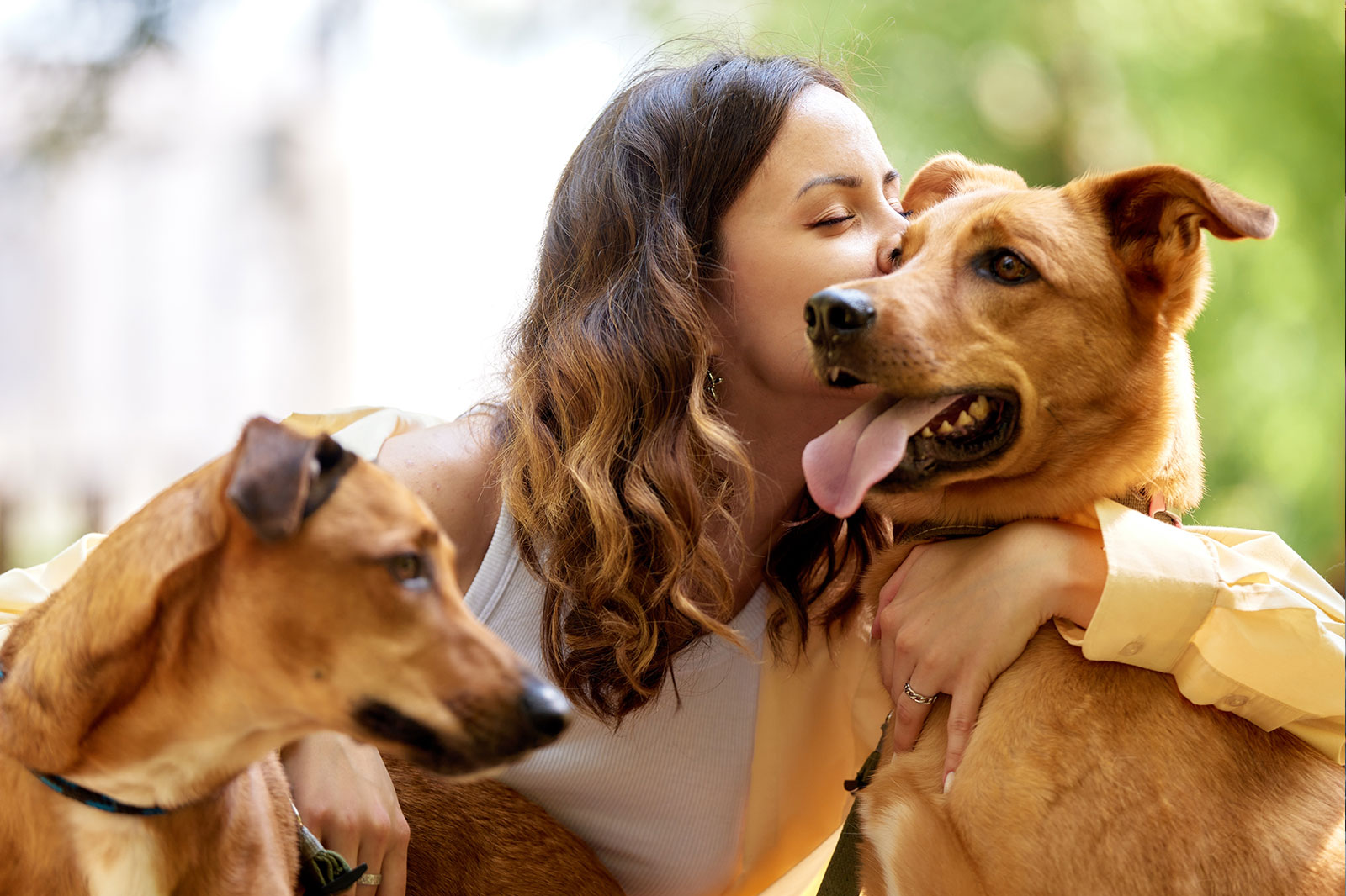 Veterinary & Pet Care